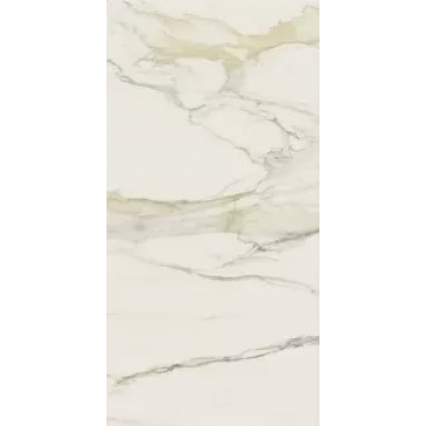 753287 Calacatta Gold Chain C Matte Ret 6mm 120x240 0