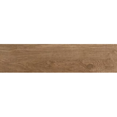 P1140013 Oxford Cognac 22x90 0