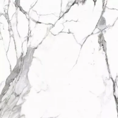 Calacatta White Satin 119.7x119.7 0
