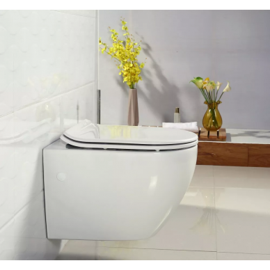 Чаша подвесного унитаза BelBagno Sfera-R (BB513CH) 6