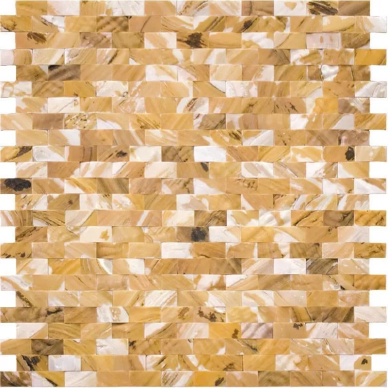 SMF-01-1225 Ракушка 12,5x25 287,5x300 0