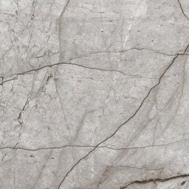Obsidian Moss Gray Полированный 60х60 0