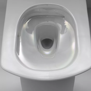 Чаша подвесного унитаза Toto Neorest SE (CW996PVD#NW1) 6