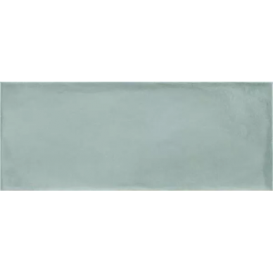 Camargue Aqua 20x50 0