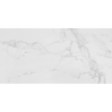 P2620002 Carrara Blanco Pulido 58,6x118,7 0