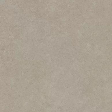 Pav. Rex taupe rc 60x60 0
