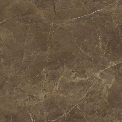 Rapid Brown 60x60 0