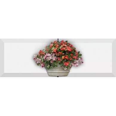 n010000 Decor forja 02 10x30 0
