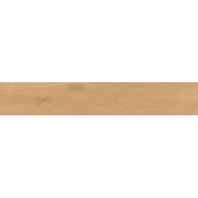 A841 Entice Pale Oak Natural R10 20x120 0