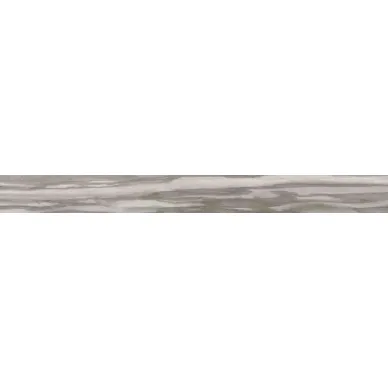 60387 EPIC TAUPE RET 10*100 0