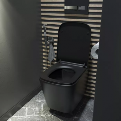 Чаша подвесного унитаза Iddis Bild (BILR2BMi25) черный матовый 6