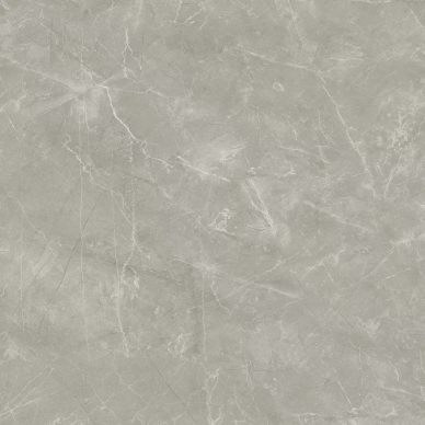 Wolf Grey 80х80 0