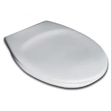Крышка-сиденье Ideal Standard Eurovit (W302601) 0
