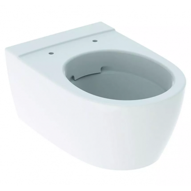 Чаша подвесного унитаза Geberit iCon Rimfree (204060) 7