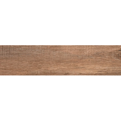 Eccelente brown PG-01 12.5x50 0