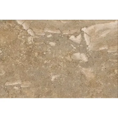 58729 Tortora 40x60 0