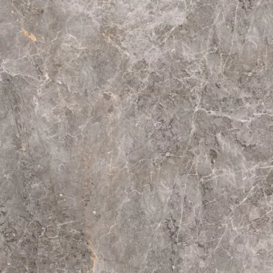 100307765 Elegant Grey polished 59.6x59.6 0