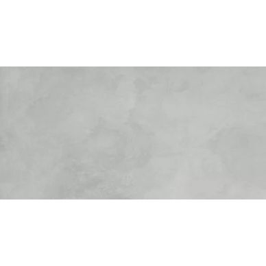 SG50001120R Evolution Smoke светло-серый 60x119,5 0