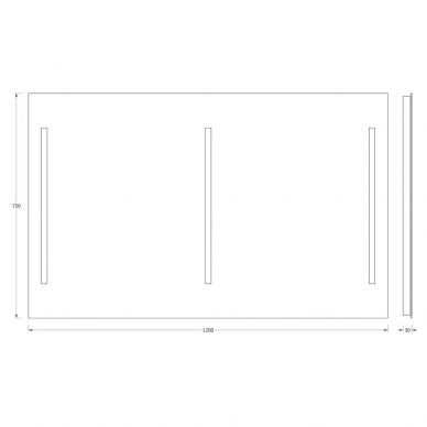 Зеркало Evoform Ledline (BY 2121) (120 см) (с 3-мя встроенными LED-светильниками) 1