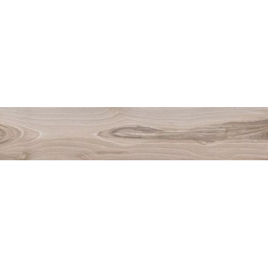 60952 SAVANNA DUST RET 20x100 0
