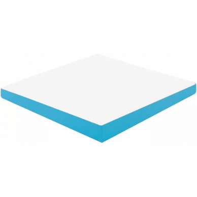 16489 D.SCALES-A 12X12 0