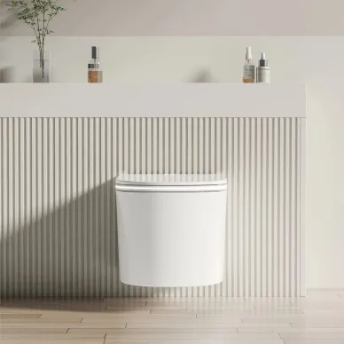 Подвесной унитаз RGW SW-71 80420271-01 с биде, импульсный, с микролифтом 5