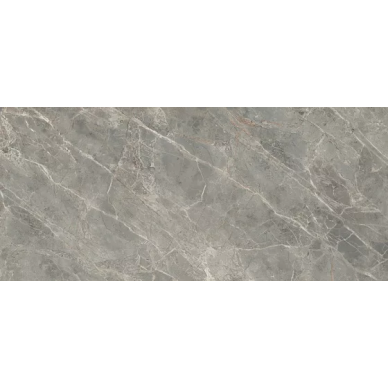761768 ETOILE GRIS MAT RET 60X120 0