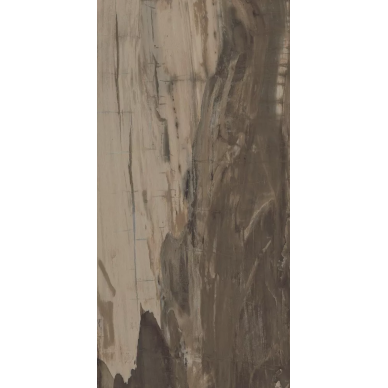 PO160R Petrified Wood Brown Rett 49,6x99,5 0