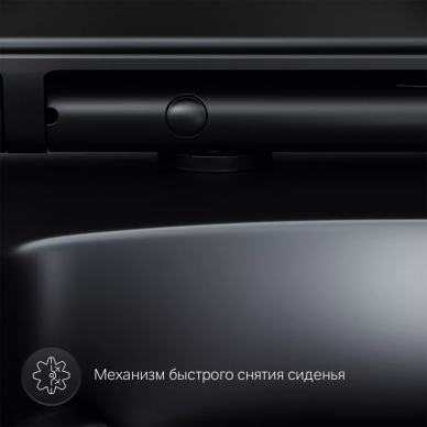 Чаша подвесного унитаза Am.Pm Inspire V2.0 FlashClean (C50A1700MBSC) безободковый, с микролифтом (черный матовый) 8