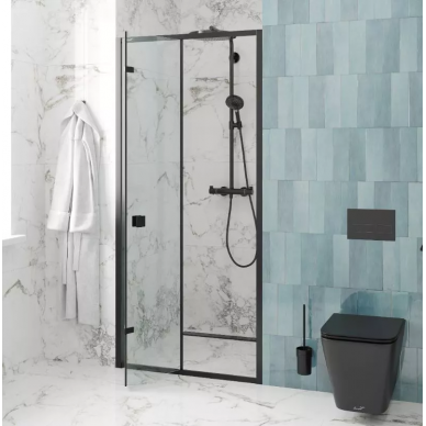 Душевая дверь Cerutti SPA Bella (BELLA D101B) (100х195) профиль чёрный/прозрачное стекло 6