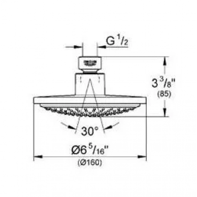 Верхний душ Grohe Euphoria Cosmopolitan (28233000) (160 мм) 1