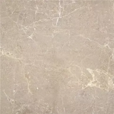 Albury Camel 60x60 0