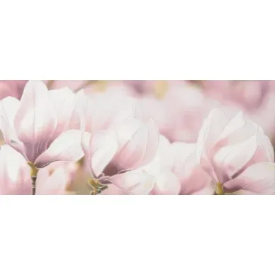 Rapsodia violet decor 01 25x60 0