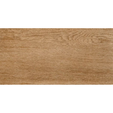 Alania natural PG 01 20х40 0