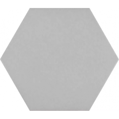 BASIC HEX 25 Silver 25x22 0