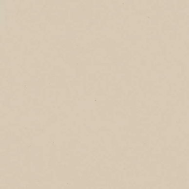 Modernizm Bianco 19.8x19.8 0