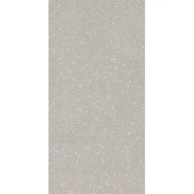 Moondust Silver Polpoler 59.8x119.8 0