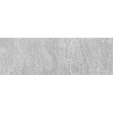 Alcor серый 17-01-06-1187 20х60 0