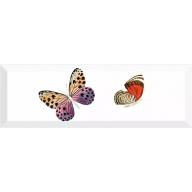 Decor Farfalla 2 10*30 0