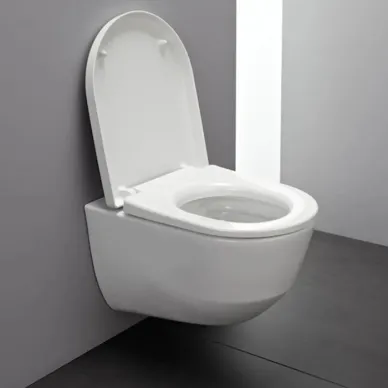 Laufen Pro Унитаз подвесной, безободковый, 53х36х34см., покрытие LLC, цвет: белый 18