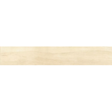 72999 Antique Ivory Fondi Nat.Rettificat 20x120 0