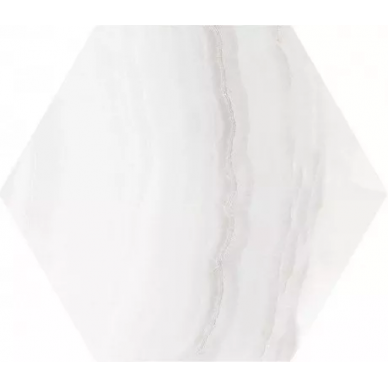 Onyx White Hex 20х24 0