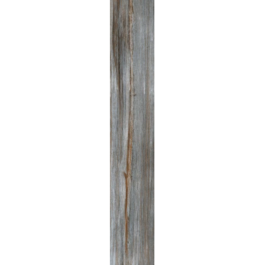 19314 Foresta Benton-G/20 20x122.5 0
