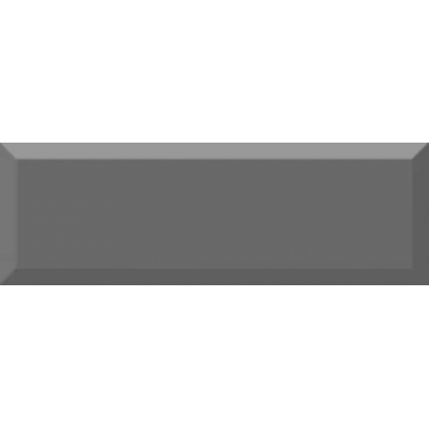 Monocolor Biselado Brillo Marengo 10X30 0