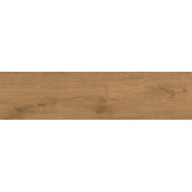 A9DE Entice Copper Oak Natural 20mm R11 30x120 0