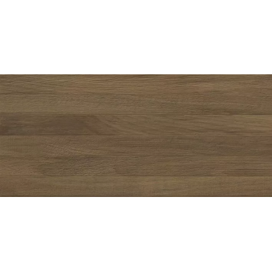 Quarta brown 04 25х60 0