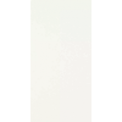 Synergy Bianco 30x60 0
