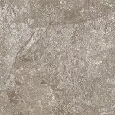 Dynasty Grey 20*20 0