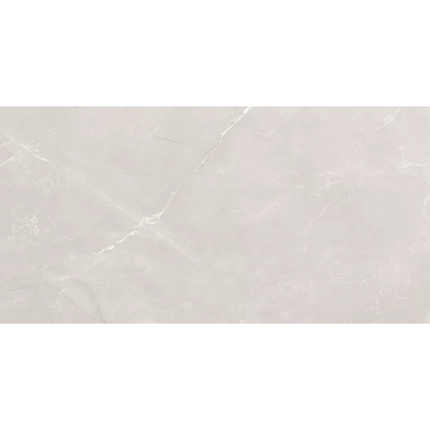 Vitrum Grey полированный 60x120 0