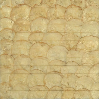 SMS-04 (CS-004) Ракушка 25x300 300x300 0